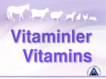Vitaminler